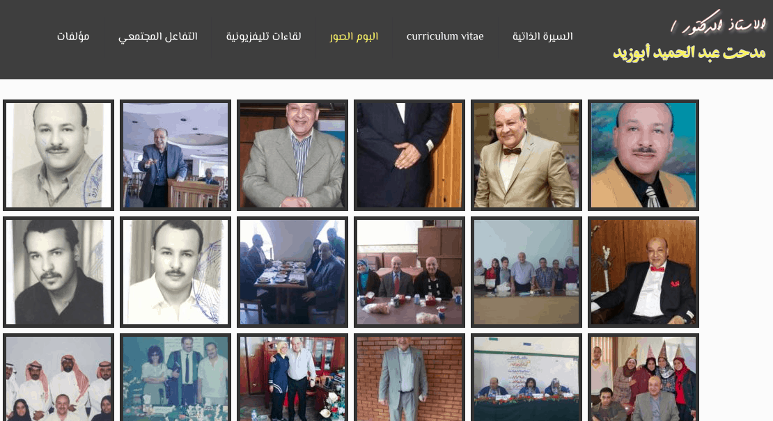 Prof.medhat abdelhamid – Website